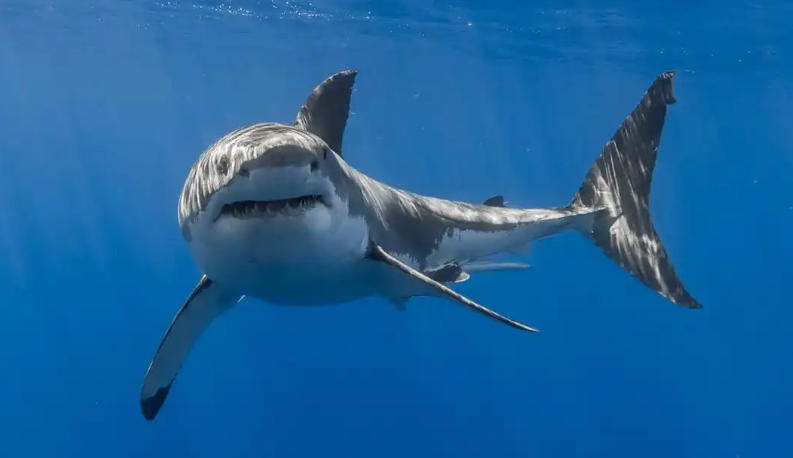 福州欣景园环境设备有限公司轮播图5